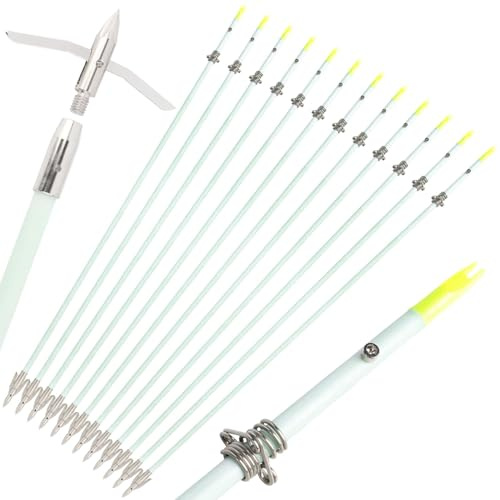 Générique Flèches de pêche et de Chasse Lumineuses pour Le tir à l'arc Flèches de pêche à l'arc Lumineuses avec Pointes Amovibles et glissières de sécurité pour arcs à poulies et arcs recourbés (6)