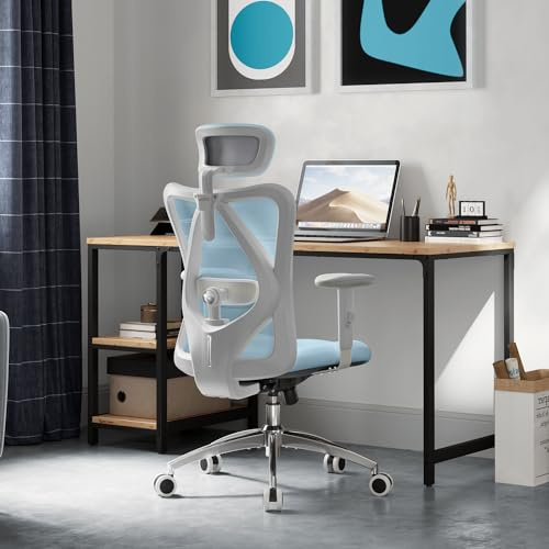 SIHOO M18 Ergonomic Office Chair, Computer Desk Chair with Adjustable Headrest and Lumbar Support, High Back Executive Swivel Chair for Home Office (Morandi Blue)