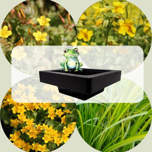 WASSERPFLANZEN WOLFF - FROG-ISLAND gelb- SCHWIMMINSEL inklusive Pflanzen - REIHERSCHUTZ - 4er-Mix mit Pflanzinsel - QUALITÄTSSTAUDEN im Pflanzkorb - Frosch-Insel für Gartenteich