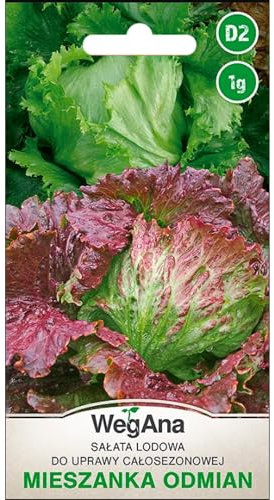 WegAna Miscela di semi di lattuga Iceberg 1g, Traper e Derel, Coltivazione annuale, Semi di ortaggi robusti, Semi di ortaggi, Coltivazione di semi, Semi in serra