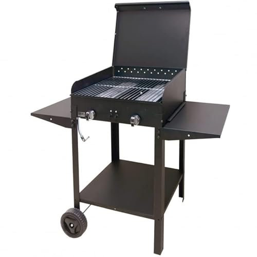 La zappa Barbacoa barbacoa de gas y piedra de lava la chapa esmaltada 2 quemadores