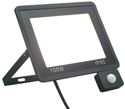 vidaXL LED Fluter mit Sensor Floodlight Außenleuchte Garten Strahler Scheinwerfer Außenstrahler Gartenstrahler Flutlicht 100W Kaltweiß