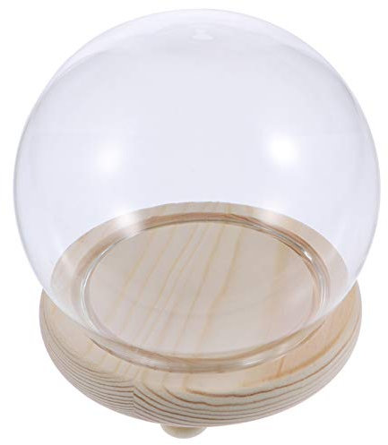 ifundom Verre Clair Cloche Globe Affichage Cloche Pot Transparent en Verre Mini Assiette À Gâteau Dessert Gâteau Stand avec Socle en Bois Décoratif Couvercle De Cloche pour