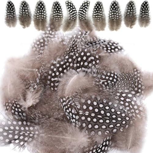 ZXJLWR 100 Stück Perlhuhnfedern Zum Basteln, 4–10 cm Natürliche Gesprenkelte Federn, Federn Basteln, Bastelfedern Für DIY Ohrringe Hochzeit Traumfänger Haarschmuck Wachteleier Deko