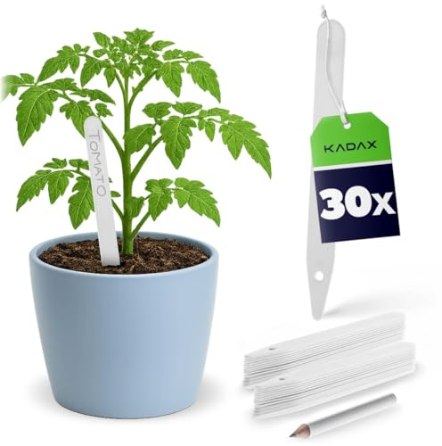 KADAX Lot de 30 étiquettes pour plantes en plastique, résistantes aux intempéries, pour étiquetage, étiquettes de jardin, étiquettes pour plantes, étiquettes d'herbes