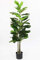 Künstliche Pflanze 115 cm Ficus Lyrata im Topf Kunstpflanze Große Zimmerpflanze Grünpflanze Wohnzimmerdeko
