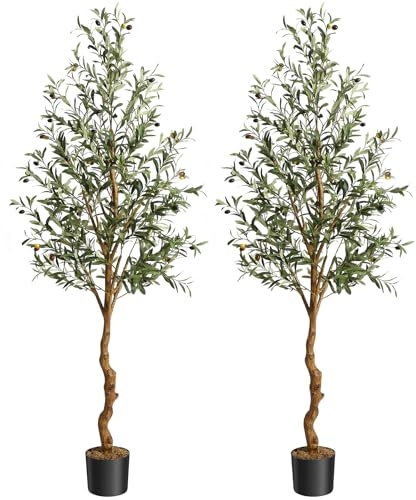 GAOMON Artificial Olive Tree 6FT(72in) Tall Faux Olive Trees with Silk Leaves for Home Office Living Room Decor Indoor Fake Olive Tree with Curved Wood Trunk and Lifelike Fruits Set of 2