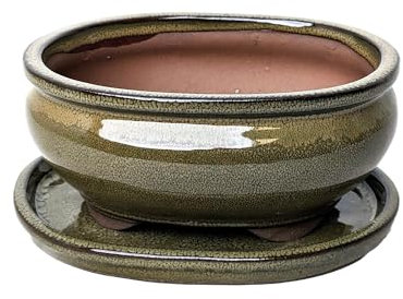 Glazed Ceramic Bonsai Pots with Matching Drip Trays (Olive Green, 16cm)