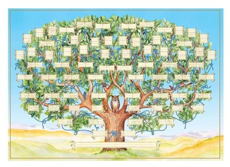 Affiche Arbre Généalogique, 10 Générations, Tableau Généalogique à Remplir, 39,60x59,40 cm Généalogies Personnalisées,