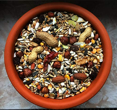 5 kg natürliches Eichhörnchen Futter in Premium Qualität Eichhörnchenfutter der Spitzenklasse Streufutter Futterhaus