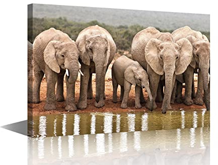 Canvas Wall Art Wild Animals Picture Artwork for Bedroom Wall Decorations for Kid's Room Living Room Hang Pictures Wall Artwork(24x36in-Wild Elephants Drinking by the River