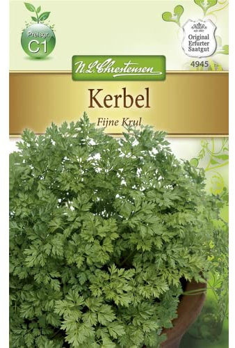 Chrestensen Kerbel 'Fijne Krul'
