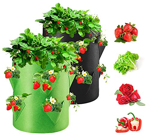 Homealexa Bolsas de Cultivo de Fresa 2Pcs, Bolsa de Cultivo de Plantas, Tela no Tejida Bolsa para Plantar para Fresa Papa, Zanahoria, Tomate y Cebolla (10 Galones)