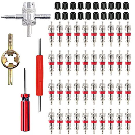 HUAZIZ 64-Teilig Reifenventilentferner Reifen ventileinsatz (40 x Ventil Kerne + 2 x Ventil Entferner+ 1 x 4 in1 Reparatur-Werkzeug+ 1 x Ventilkernschlüssel+20×Reifenventilkappen) für Auto,Fahrrad