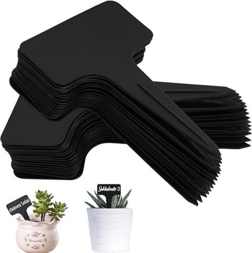Lot de 120 étiquettes pour plantes résistantes aux intempéries, 6 x 10 cm, noires, pour l'extérieur, résistantes aux intempéries, étiquettes double face pour écrire, convient pour légumes, fruits