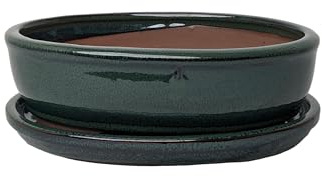 Generic Vasi per bonsai in ceramica smaltata con vassoi di sgocciolamento abbinati (Verde bottiglia, 20 cm)