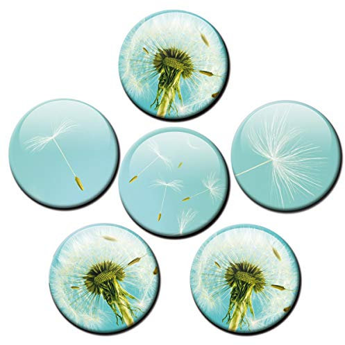 Kühlschrankmagnete Pusteblume 6er Deko Geschenk Set Magnete Blumen lustig für Frauen Blumenfreunde stark groß 50mm rund Türkis