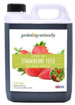 Organic Strawberry Feed Fertiliser for Strawberry Plants 2.5 Litre Makes 62.5 Litres of Food