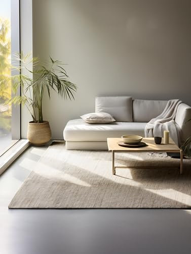 Hanse Home Jute Teppich – Natur Wohnzimmerteppich - Handgewebt & Natürlich – Boho Naturfaser Juteteppich für Wohnzimmer, Schlafzimmer, Esszimmer, Flur, Küche – Naturgrau Braun, 190x280cm