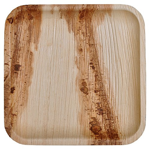 Atmos Green 25 pack 10 Square Palm Leaf Dinner Plate Compostable disposable premium heavy duty Eco-Friendly Microwave Refrigeration safe Bamboo like Wedding Events Party