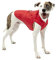 Kurgo Loft Hundejacke, Mit Hundegeschirr kombinierbar, Wasserdicht und reflektierend, Ideal für den Winter, Größe M, Grau/Rot