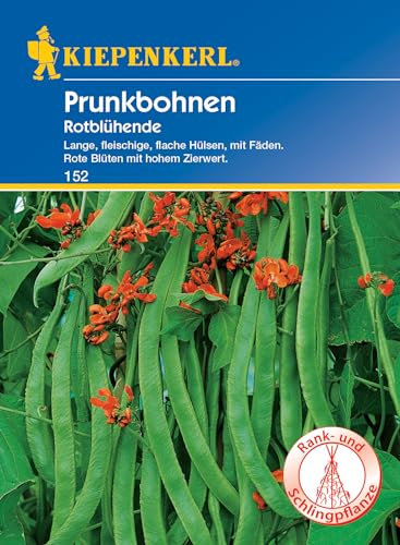 Kiepenkerl Prunkbohnensamen Rotblühende 152 - Lange, fleischige, flache Hülsen, mit Fäden. Rote Blüten mit hohem Zierwert. Rank- und Schlingpflanze, Gemüsesamen, Bohnen-Samen, Saatgut,