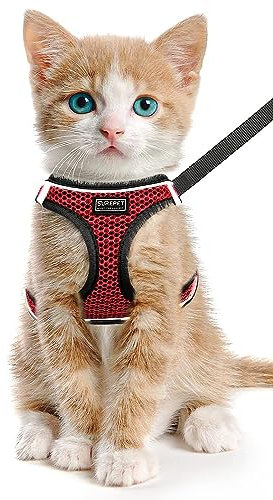 LOS ANDES Katzengeschirr mit Leine, Geschirr ausbruchsicher für Katze Verstellbar Brustgeschirr Cat Harness Reflektierend, Katzenleine mit Geschirr für Katzen,Welpen