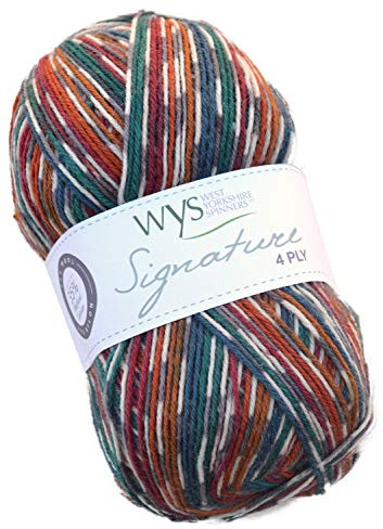 WYS Signature 4 ply Knitting Wool / Yarn 100g - Pheasant 855