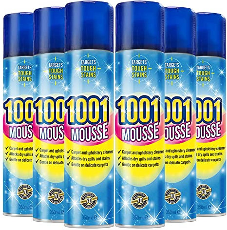 6 X 1001 Carpet Mousse 350 ml