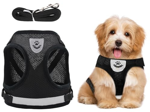 Verstellbarer Brustgurt mit reflektierender Leine - Geschirr & Leine Set für Welpen, Hunde & Katzen (XS)