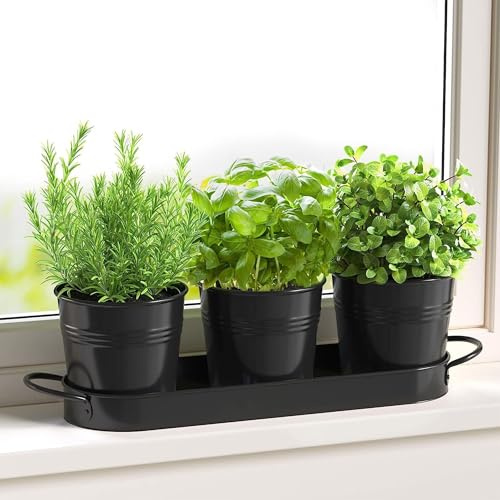 FGXY Lot de 3 pots en métal avec plateau à herbes aromatiques Mini Cactus Succulent Vase, Crêpe de Glace Fleurs Planteur, Pour intérieur, Seuils et Balcons, Cultiver Vos Herbes Pour La Cuisine-Noir