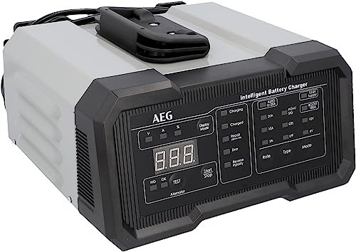 AEG Batterieladegerät CW20 lädt alle 6 V und 12 V Batterien, umfangreicher Sicherungsschutz, mit Ladestatusanzeige in Prozent