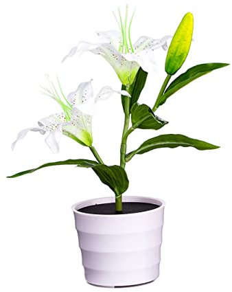 Ciieeo Lámpara Solar Led De Artificial para Jardín y Decoración Nocturna Luz De Blanca para Bodas y Energético y Instalación