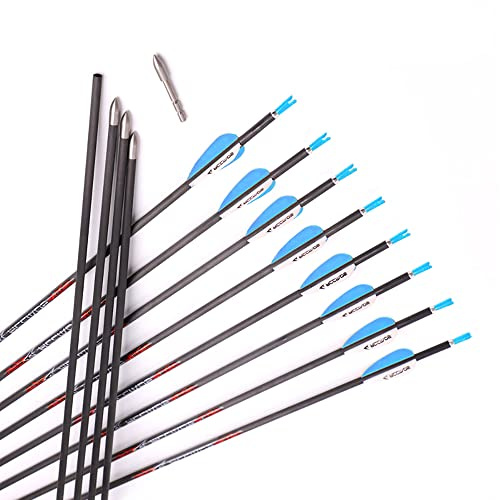 ACCMOS Tiro con Arco Flecha de Carbono Puro Spine 700 ID 4,2 mm Flecha de Caza, para Arco Recurvo Arcos Compuestos Arco Tradicional12 pz (Spine 700, 28inch)
