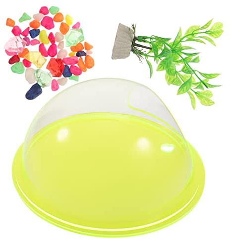 Kisangel Transparent Hydroponic Wall Mounted Vase Fish Tank for Plants Indoor Planters Home Decor with Easy Installation and Creative Design