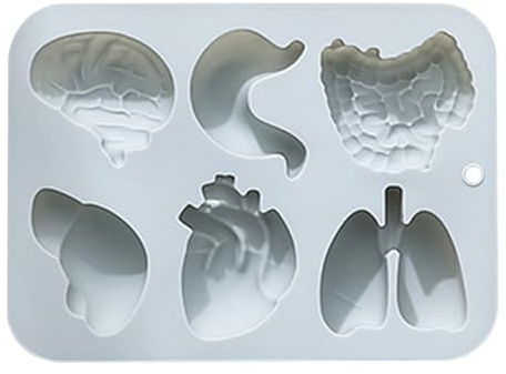 Organ, in silicone, forme grandi e realistiche per il cuore, il cervello, lo stomaco, il fegato, l'intestino, i polmoni | Forma di silicone fai da te a 6 vie per la torta di Halloween