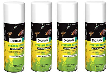 DIGRAIN Aérosol insecticide digrain pyrèthre LOT DE 4 aérosol 200ml produit naturel-anti blattes ou cafards-punaises-puces-acariens-mites-teignes-poissons d'argent-mouches-moustiques en lot de 4