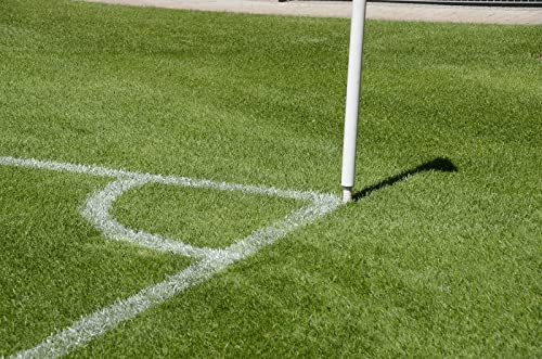 Kiepenkerl 4000159623552 RSM 3.1 Sportrasen Neuanlage 10 kg