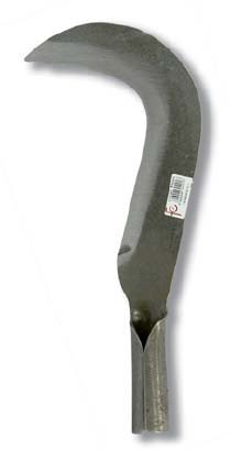 Flores Cortés - Tajamata n.1 270x56x120 mms.