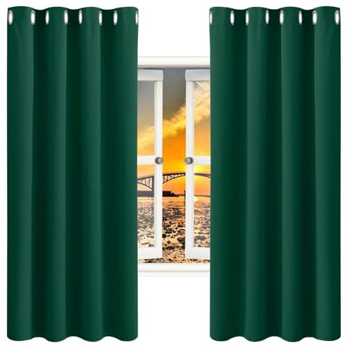 GAIFNAG Thermovorhang Wohnzimmer Gardinen 250 x 270 cm Wärmeisolierend, Vielen Farben Und Ausführungen Wohnzimmer Gardinen, Gardine Vorhang für Fenster, Zuhause, Terrasse, Dunkelgrün
