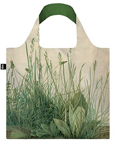 ALBRECHT DUERER The Large Piece of Turf