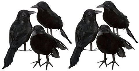 Shiwaki 6 X Halloween Deko-Krähe Künstliche Rabe Krähe Mit Federn Schwarz Vogel