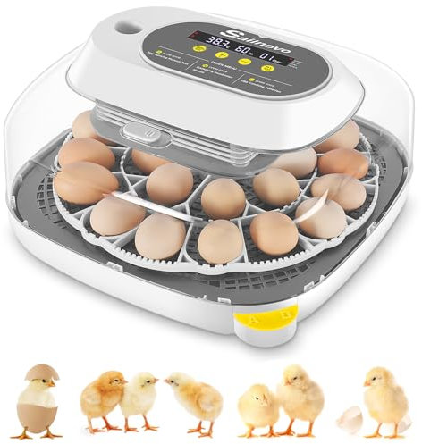 Sailnovo Brutautomat Vollautomatisch für 24 Eier, 4 Modi Brutmaschine Inkubator Hühner mit automatischem Eidrehen und Temperaturregelung ℉, Brutkasten Hühner für Hühnerwachtelende (Grau)