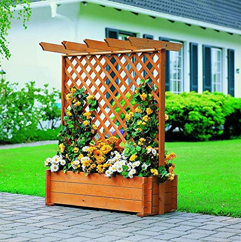 Beauty.Scouts Rankkasten Pflanzkasten Maximilian II Kasten honigbraun wetterfest 102x65x139cm Blumenkasten Pflanzenkasten Blumenrankkasten Pflanzenrankkasten