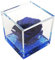 Texo di Claudio Rosso rosa vera blu, regalo donna anniversario festa pensiero mamma cerimonia dono, dura per sempre, stabilizzata e profumata in cubo 8x8x8