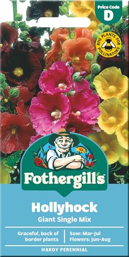 Hollyhock Seeds Giant Single by Fothergill's - Flower Seed for Planting UK - Mixed Colours