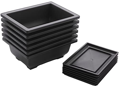 liseng 6 Paquetes de macetas de Entrenamiento para bonsái Bandeja, de plástico, para Cultivo de Plantas, para jardín, Patio, Habitaciones, balcón, 16,5 x 12 cm