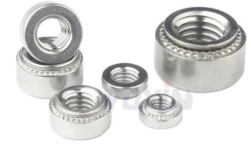 KEYNCO Dado autoagganciante Dado a pressare zincato in Acciaio Inossidabile 304 M2 M2.5 M3 M4 M5 M6 M8 Dadi di Fissaggio per Macchine utensili-M3-2 (100 Pezzi)-CLS-Acciaio Inossidabile