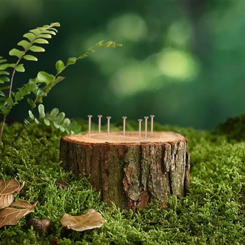 Desiumite Clous en cuivre 65 mm 75 mm pour l'élimination des souches d'arbre, tue-racines non invasifs avec ions de cuivre pur pour arrêter la croissance, le traitement de perçage et de marteau pour