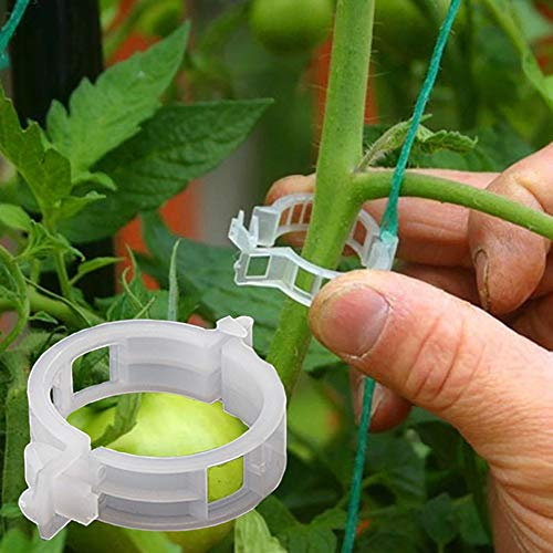 100PCS Soporte Planta Clips jardín Clips Tomate Soportes/Conecta Plantas/Cordel/vides Enrejado/jaulas Planta Vid Clip fijación Vegetal Herramientas injerto Hacer Que la Planta Crezca erguida
